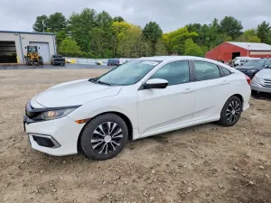 Honda Civic 2.0L 4 2019