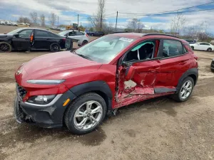 Hyundai Kona 2.0L 4 2022