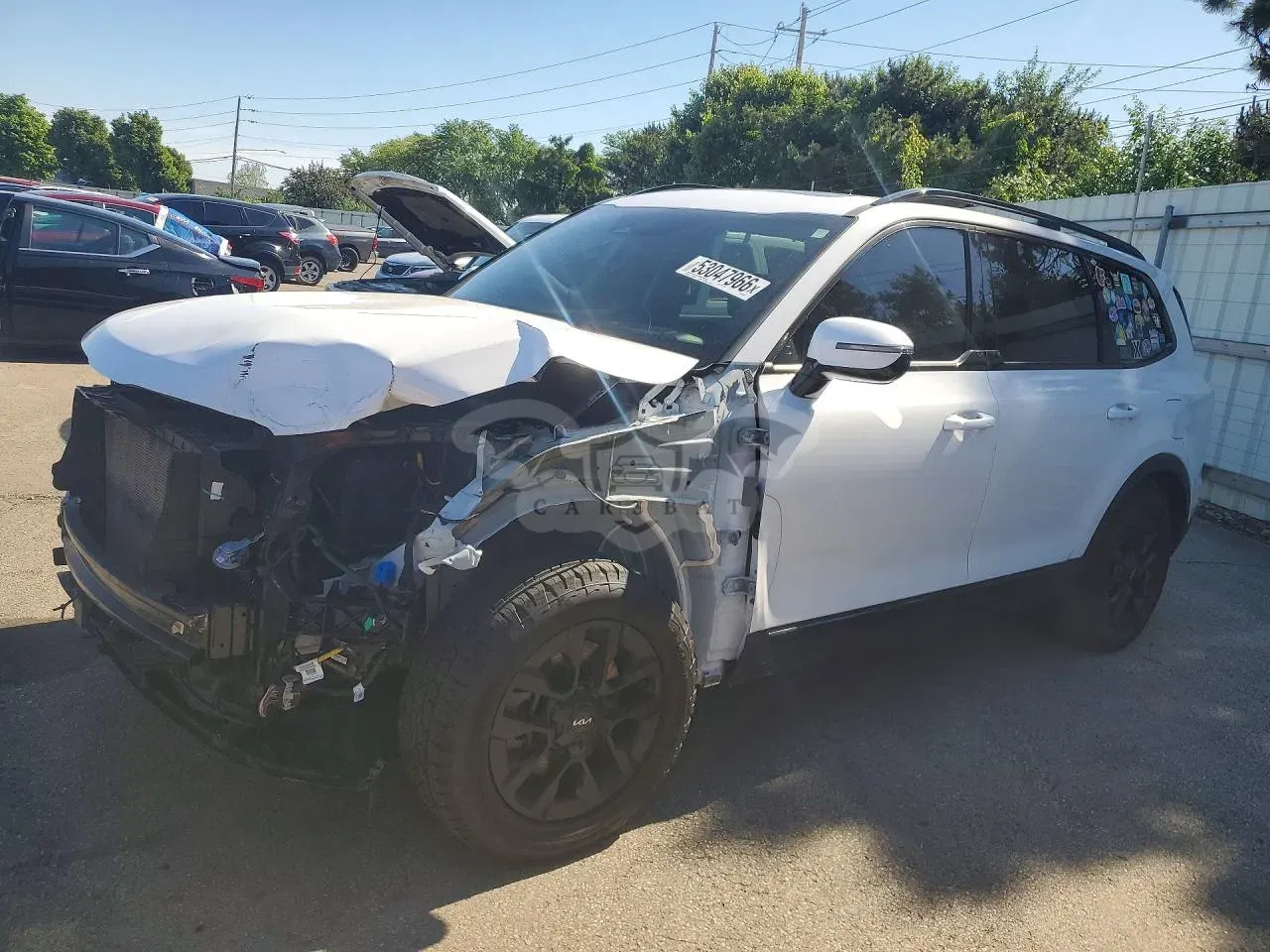 Kia Telluride 3.8L 6 2024
