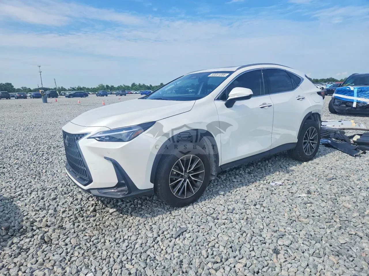 Lexus NX 2.5L 4 2024