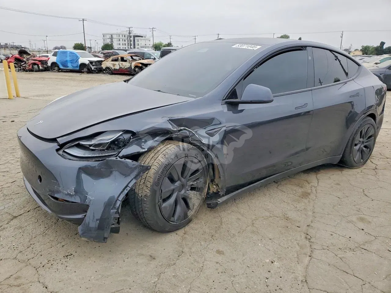 Tesla Model Y 2025