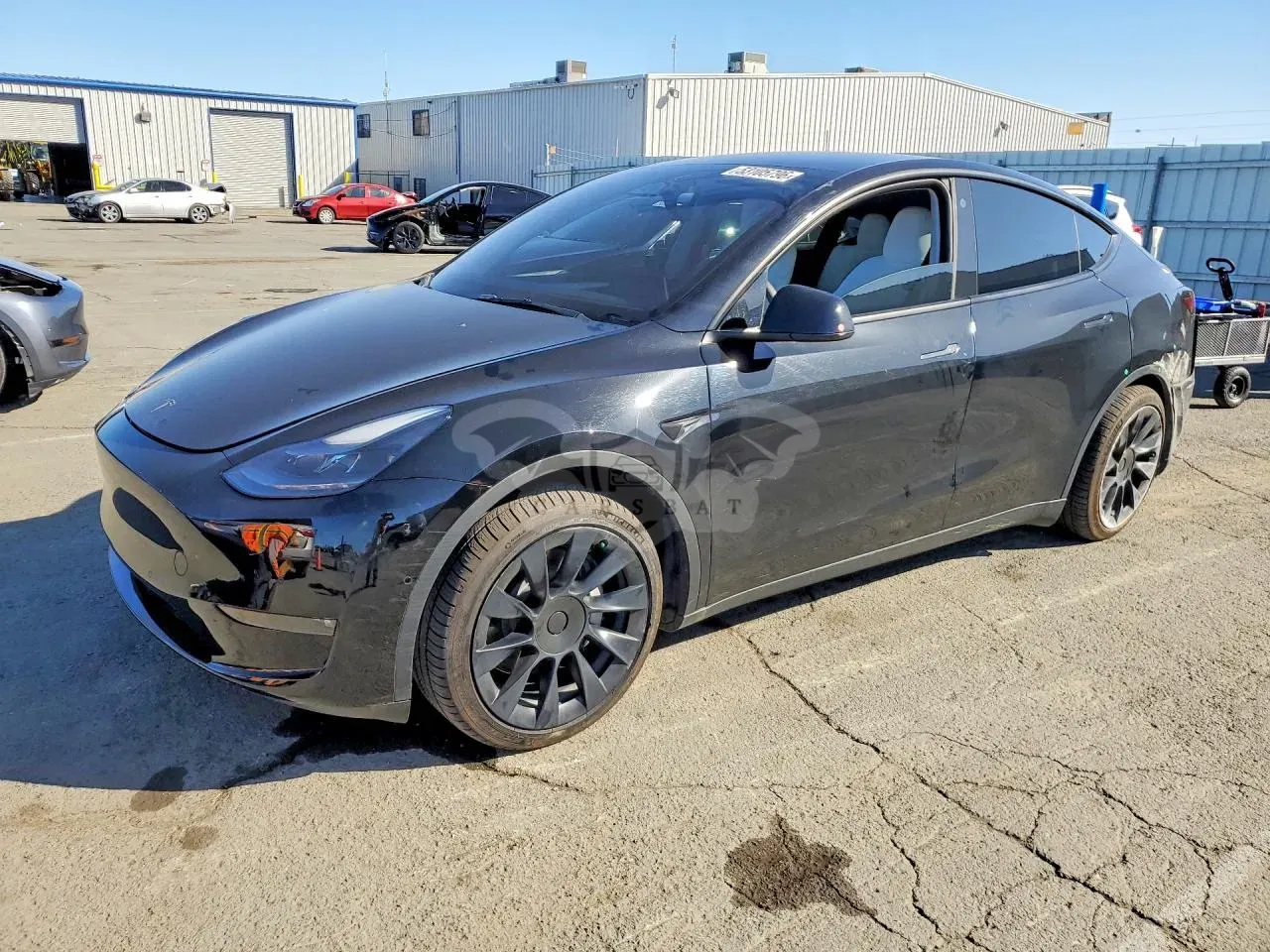 Tesla Model Y 2022