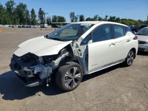 Nissan Leaf 0.0L 0 2019