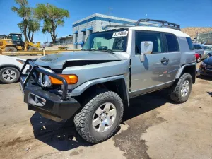 Toyota FJ Cruiser 4.0L 6 2010