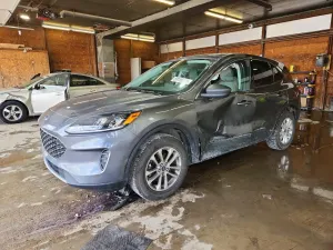 Ford Escape 1.5L 3 2022