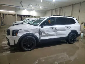 Kia Telluride 3.8L 6 2025