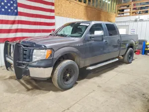 Ford F-150 4.6L 8 2010
