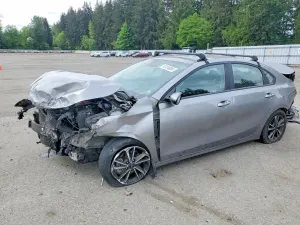 Kia Cerato / Forte / K3 2.0L 4 2023