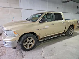 Dodge RAM 5.7L 8 2011