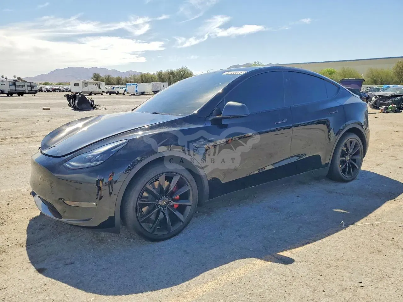 Tesla Model Y 2024