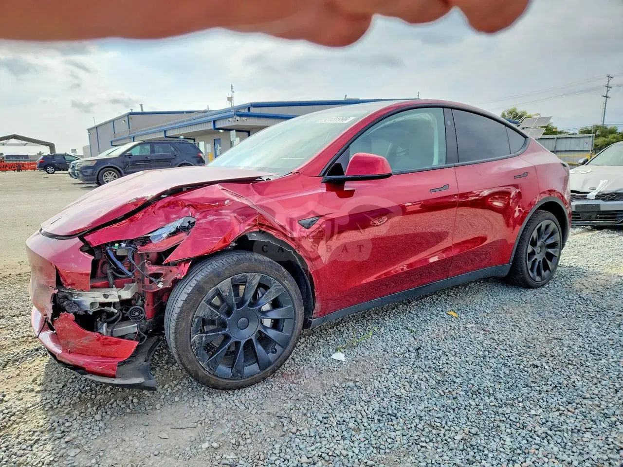 Tesla Model Y 2024