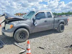 Ford F-150 4.6L 8 2009