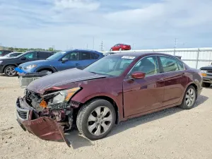 Honda Accord 2.4L 4 2010