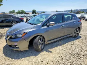 Nissan Leaf 0.0L 0 2019