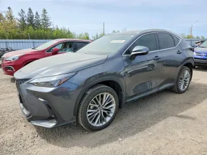 Lexus NX 2.4L 4 2026
