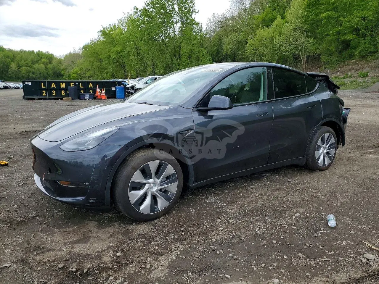 Tesla Model Y 2024