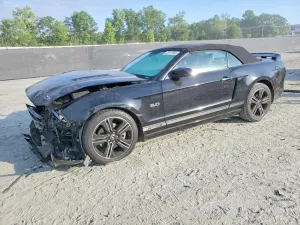 Ford Mustang 5.0L 8 2013