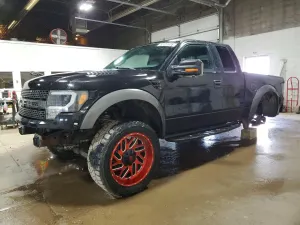 Ford F-150 6.2L 8 2010