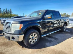 Ford F-150 4.6L 8 2010