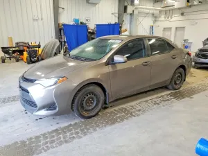 Toyota Corolla 1.8L 4 2019