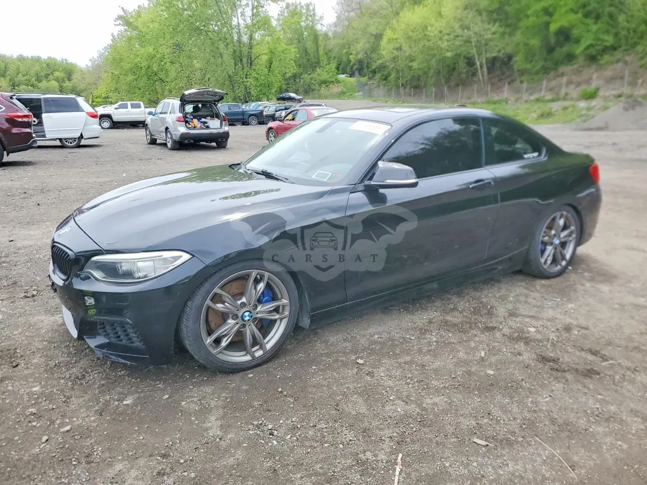 BMW 2 Series 3.0L 6 2016