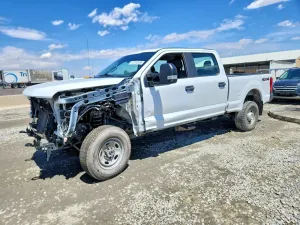 Ford F-250 6.2L 8 2019