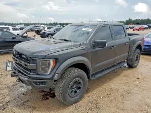 Ford F-150 3.5L 6 2023