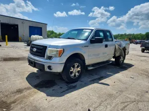 Ford F-150 4.6L 8 2009