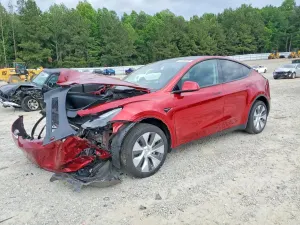 Tesla Model Y 2024