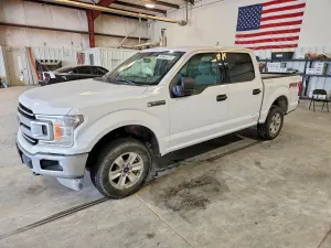 Ford F-150 5.0L 8 2019