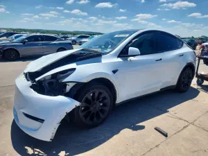 Tesla Model Y 2020