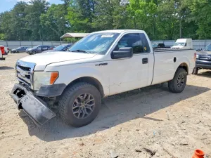 Ford F-150 4.6L 8 2009