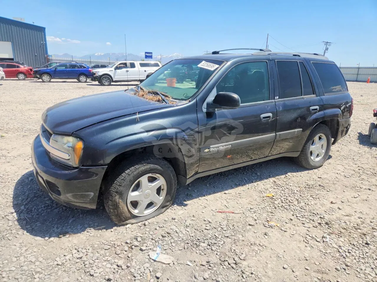 Chevrolet Trailblazer 4.2L 6 2003