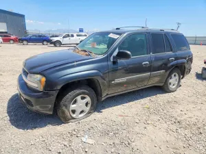 Chevrolet Trailblazer 4.2L 6 2003