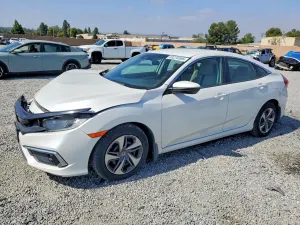 Honda Civic 2.0L 4 2019