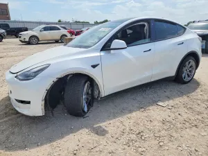 Tesla Model Y 2020
