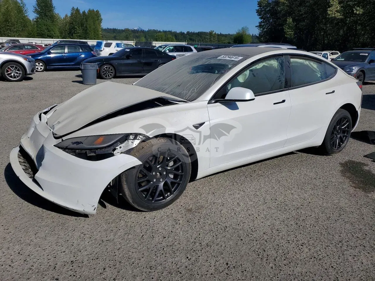 Tesla Model 3 2024