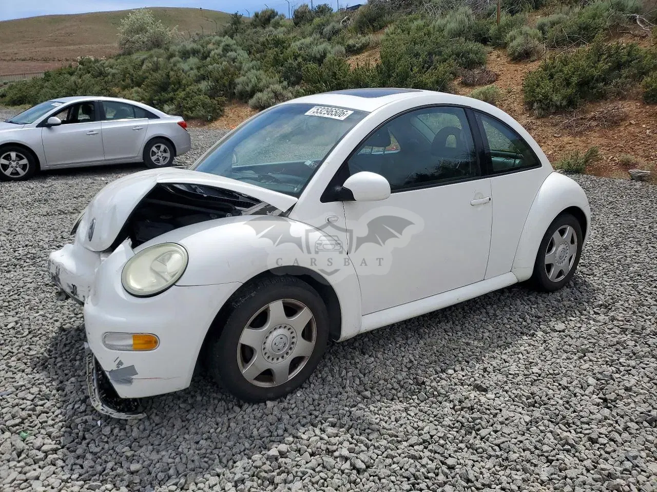 Volkswagen Beetle 2.0L 4 2001