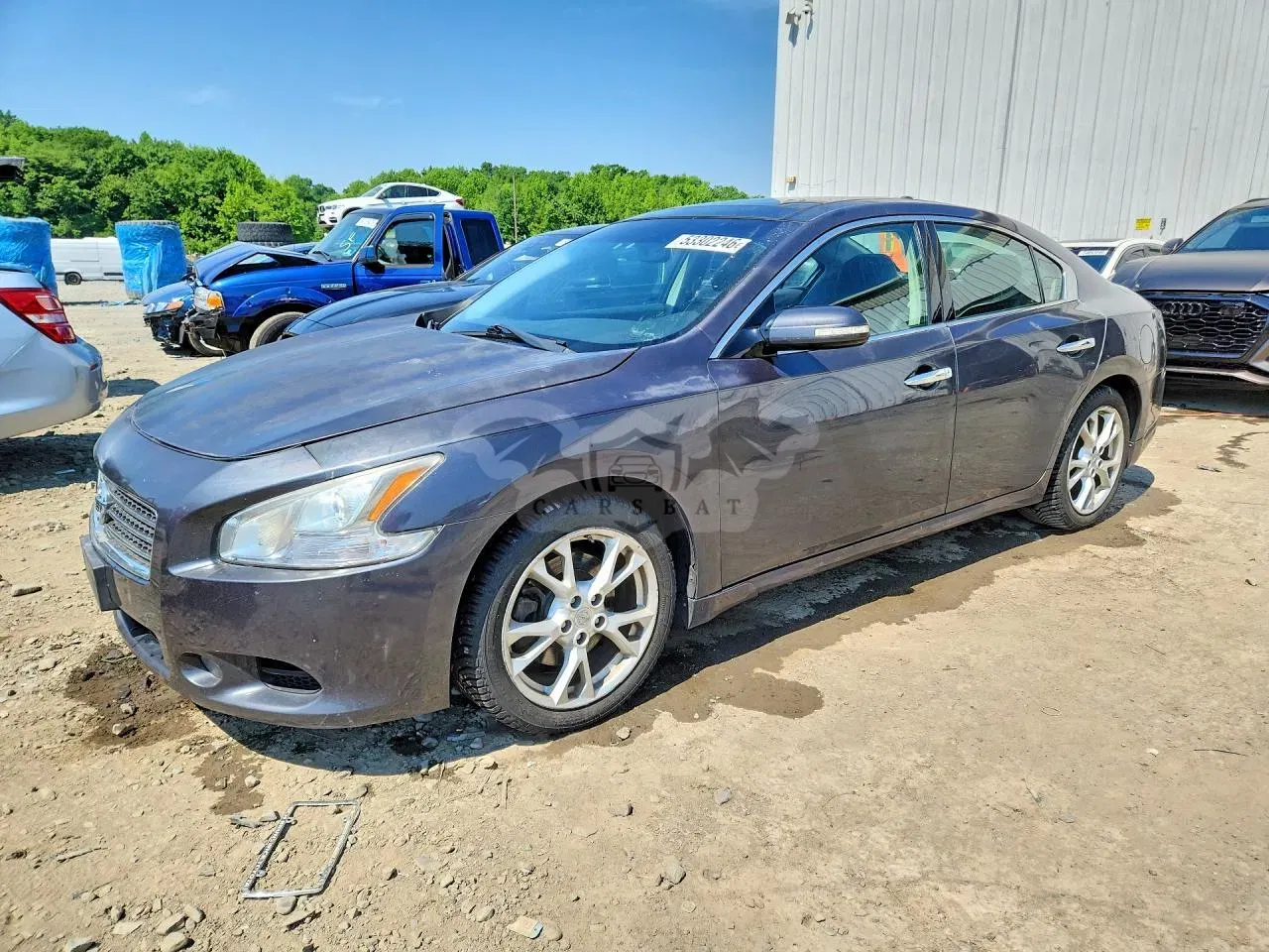 Nissan Maxima 3.5L 6 2012