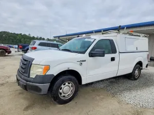 Ford F-150 4.6L 8 2010