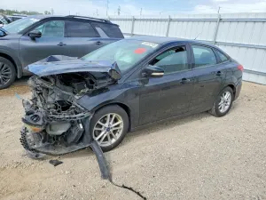 Ford Focus 2.0L 4 2015