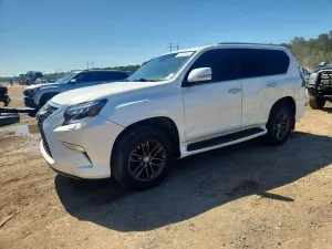 Lexus GX 4.6L 8 2021