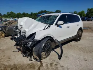 Kia Telluride 3.8L 6 2020