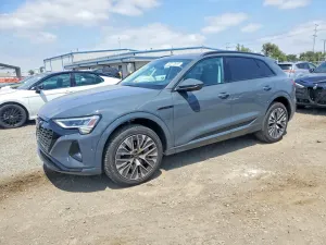 Audi Q8 e-tron 2024