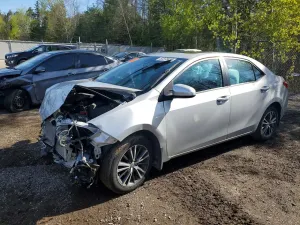 Toyota Corolla 1.8L 4 2019
