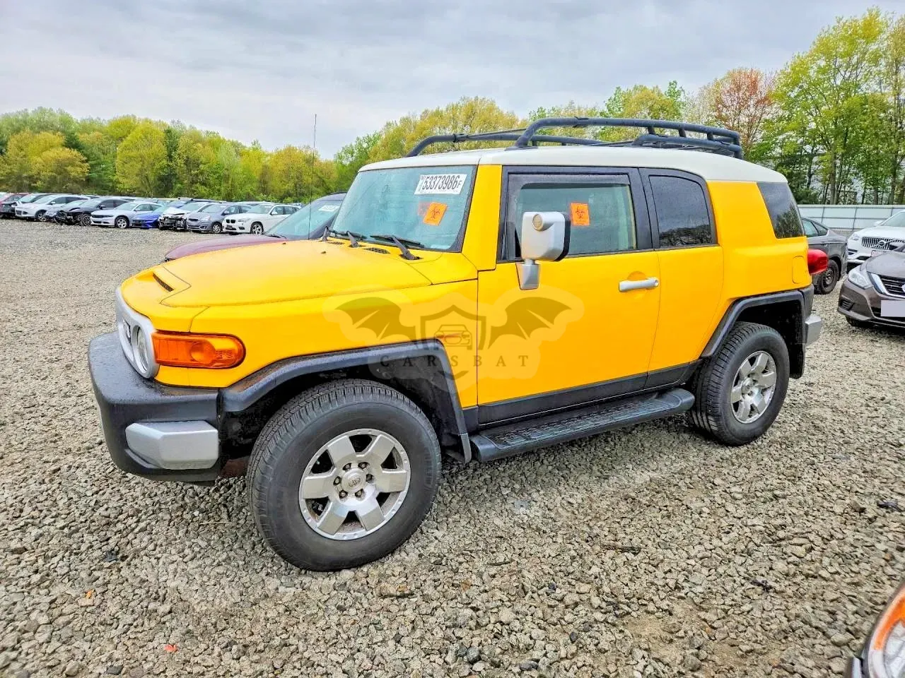 Toyota FJ Cruiser 4.0L 6 2010