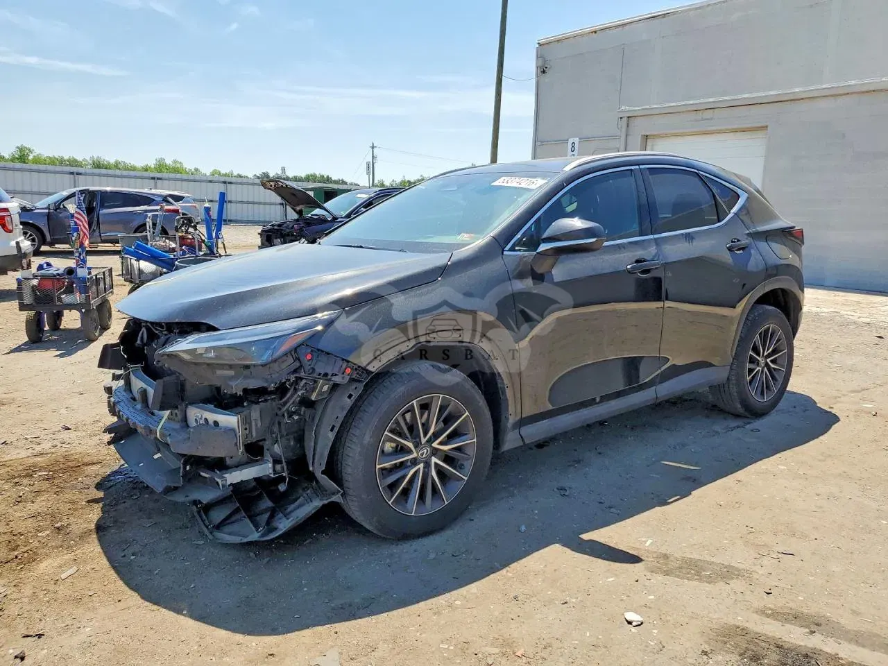 Lexus NX 2.4L 4 2024