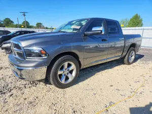 Dodge RAM 4.7L 8 2009