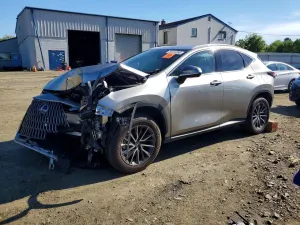Lexus NX 2.4L 4 2024