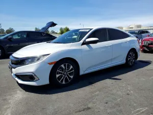 Honda Civic 2.0L 4 2019